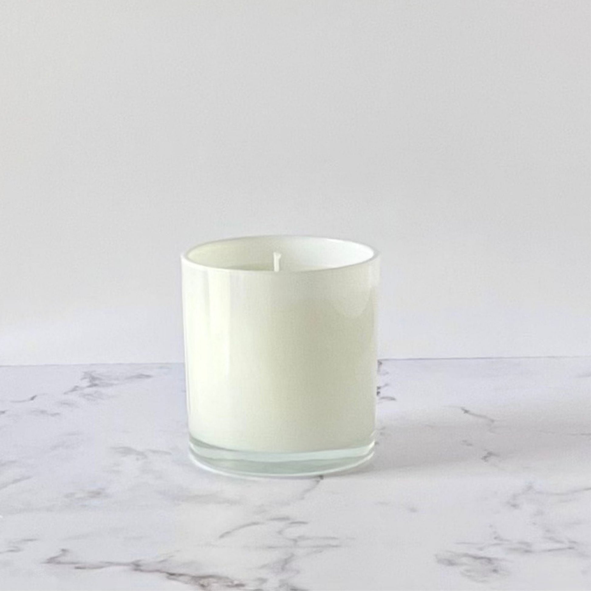 Private Label by Velavida Candles Unlabeled Bulk Wholesale Candles 9 Oz White Glossy (24 Candles)